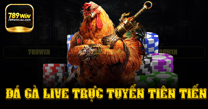 Hệ thống đá gà live trực tuyến tiên tiến