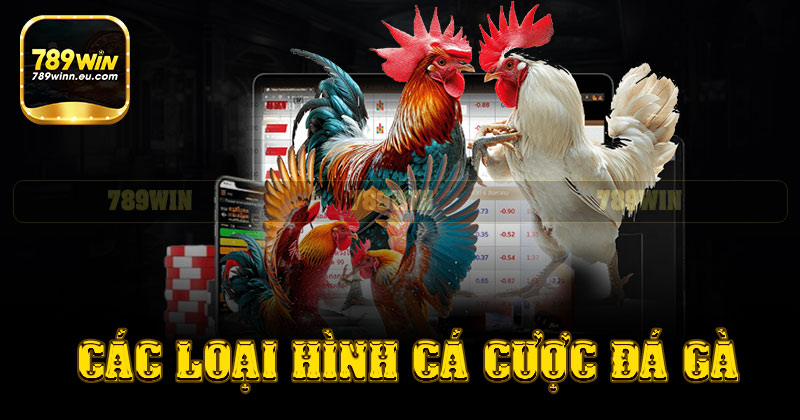 Các loại hình cá cược đá gà 789win
