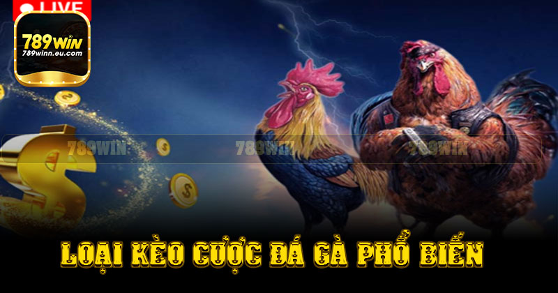 Những loại kèo đá gà phổ biến