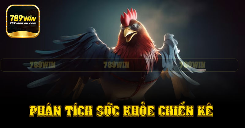 Mẹo soi kèo đá gà hiệu quả