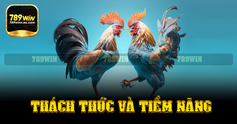 Thách thức và tiềm năng trong đá gà 789win