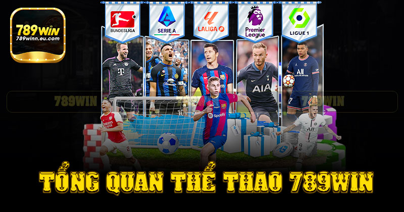 Tổng quan chuyên mục thể thao 789win